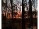 Beautiful sunset visible through a dense forest, providing a tranquil and picturesque view at 2313 Beechwood Dr, Waxhaw, NC 28173