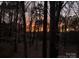 Beautiful sunset visible through a dense forest, providing a tranquil and picturesque view at 2313 Beechwood Dr, Waxhaw, NC 28173