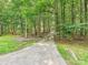 Long private driveway lined with mature trees leading to the home at 2313 Beechwood Dr, Waxhaw, NC 28173