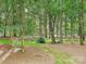 Secluded wooded lot with home barely visible through the trees at 2313 Beechwood Dr, Waxhaw, NC 28173