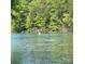 Lake view with a person enjoying a kayak ride amidst the lush green trees on the opposite bank at 562 Amalfi Dr, Davidson, NC 28036