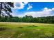 Expansive field with lush green grass and surrounding trees, offering a serene and natural landscape at 7050 Forney Hill Rd, Denver, NC 28037