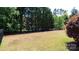 View of a grassy backyard with an iron fence and a line of trees and green foliage at 9319 Kestral Ridge Dr, Charlotte, NC 28269