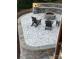 Inviting outdoor patio with a stone fire pit, seating, and well-designed stonework for cozy gatherings at 428 Pinehaven Dr, New London, NC 28127