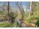 Scenic creek surrounded by lush greenery, creating a serene and natural environment at 489 26Th Ne Ave # C, Hickory, NC 28601
