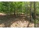 Beautiful natural setting; dense woods offer privacy and a sense of seclusion along the perimeter at 6010 Hawk View Rd, Waxhaw, NC 28173