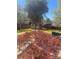 Landscaped backyard with a mature Japanese Maple tree and outbuildings at 6372 Morehead St, Harrisburg, NC 28075