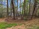 Fenced backyard featuring a fire pit and mature trees for privacy and enjoyment at 813 Deer Path Pl, Mooresville, NC 28115