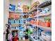 Well-organized pantry with ample shelving and storage for food and household items at 9710 Ainslie Downs St, Charlotte, NC 28273