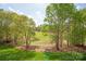 Scenic backyard with lush greenery and mature trees, overlooking a golf course at 15603 Mccullers Ct, Charlotte, NC 28277