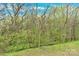 Lush backyard green space with mature trees and a gentle slope at 1828 Aston Mill Pl, Charlotte, NC 28273