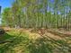 Backyard features a grassy area with mature trees and a deck with playground equipment at 2234 Emerald Mine Rd, Shelby, NC 28152