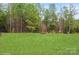 Lush green backyard with mature trees providing privacy and natural beauty at 4024 Whipcord Dr, Waxhaw, NC 28173