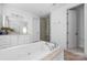 Bright bathroom featuring a large soaking tub, glass shower and vanity with ample cabinet space at 7982 Buena Vista Dr, Denver, NC 28037
