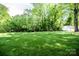 Large backyard featuring mature trees, a trampoline, and a storage shed at 1201 Robinhood Cir, Charlotte, NC 28227