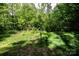 View of vacant lot with trees and foliage, ideal for building a custom home at 1201 Robinhood Cir, Charlotte, NC 28227