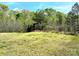 Expansive backyard with lush green grass and a variety of trees, offering ample space for outdoor activities at 7928 Ponderosa Pine Ln, Charlotte, NC 28215