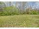 Expansive backyard featuring a large grassy area and natural wooded backdrop, ideal for recreation and enjoying the outdoors at 239 Bradford Glyn Dr, Mooresville, NC 28115