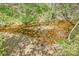 A charming small stream flows through a wooded area, offering a peaceful natural amenity at 239 Bradford Glyn Dr, Mooresville, NC 28115