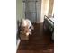 Bedroom featuring a metal bed frame and dark wood flooring, showing clutter in the corner at 401 Plymouth St, Kannapolis, NC 28083