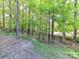 Serene backyard view with mature trees and a fence, offering privacy and a peaceful setting at 5043 Hickory Lake Ln, Matthews, NC 28105