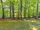 A picturesque backyard with lush greenery and mature trees, perfect for nature lovers at 5043 Hickory Lake Ln, Matthews, NC 28105