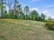 Rolling backyard with grassy hill and tall trees at 8618 Whitehawk Hill Rd, Waxhaw, NC 28173