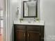 A full view of a bathroom featuring a sink, faucet, mirror and fresh plants at 9036 Four Mile Creek Rd, Charlotte, NC 28277