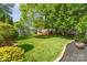 Lush backyard with mature trees, landscaping, and a deck with outdoor seating and trampoline at 114 Rolling Stone Ct, Mooresville, NC 28117