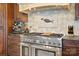 Close-up view of the gourmet kitchen with state-of-the-art stainless steel stove and range at 20428 Island Forest Dr, Cornelius, NC 28031