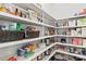 Organized pantry with ample shelving, providing convenient storage for food and kitchen essentials at 7633 Tanglewood Way, Denver, NC 28037
