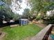Lush backyard with a shed, green lawn, mature trees, and a serene outdoor space at 1000 Margaret Brown St, Charlotte, NC 28202
