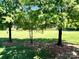 Lush green space with mature trees, perfect for outdoor activities and relaxation at 11015 Harrowfield Rd, Charlotte, NC 28226