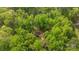Beautiful aerial view of the home nestled among mature trees in a private, wooded setting at 1676 Partridge Cir, Lancaster, SC 29720