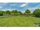 Picturesque backyard with a lush lawn and mature trees and landscaping, creating a serene and private outdoor space at 9008 Skipaway Dr, Waxhaw, NC 28173
