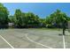 Outdoor basketball court surrounded by trees at 9008 Skipaway Dr, Waxhaw, NC 28173