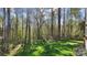 Expansive green backyard surrounded by lush trees providing a private and serene setting at 472 Bellingshire Dr, Mt Ulla, NC 28125