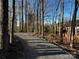 Scenic gravel path winds through mature trees, leading to a charming home with blooming shrubs at 10626 Newberry Park Ln, Charlotte, NC 28277