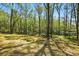 Expansive backyard featuring a beautiful wooded area perfect for outdoor activities and privacy at 110 Matthew Dr, Kings Mountain, NC 28086
