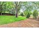 Wide angle view of spacious backyard, with mature tree, storage shed, and grass at 3510 Conway Ave, Charlotte, NC 28209