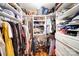 Large walk-in closet with custom storage and plenty of space for clothes and shoes at 1009 Leigh Ave, Charlotte, NC 28205