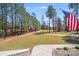 Long, paved driveway leading to a residence surrounded by a beautiful landscape and mature trees at 1016 Secretariat Dr, York, SC 29745