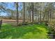 Scenic backyard with lush lawn, mature trees, and manicured landscaping at 18418 Turnberry Ct, Davidson, NC 28036