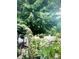 The backyard features a covered patio with climbing green ivy and a large shade tree at 216 Harrison Ln # 4, Locust, NC 28097