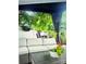 The home has a covered patio with seating, a table, and decorative plants at 216 Harrison Ln # 4, Locust, NC 28097