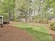 Expansive grassy backyard with mature trees and privacy fence at 6112 Swanston Dr, Charlotte, NC 28269