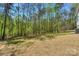 Backyard with a grassy area and tall trees offers a natural backdrop for outdoor enjoyment at 8225 Long Island Rd, Catawba, NC 28609