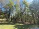 Property showcasing lush trees at 215 Old Dixie Rd, Lancaster, SC 29720