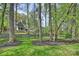 Picturesque backyard with lush lawn, towering trees, and a black fence outlining the property at 438 Wonderwood Dr, Charlotte, NC 28211