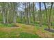 Secluded backyard with mature trees, lush green grass, mulch beds, and an elegant black fence at 438 Wonderwood Dr, Charlotte, NC 28211